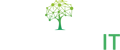 VERBOOM IT Logo